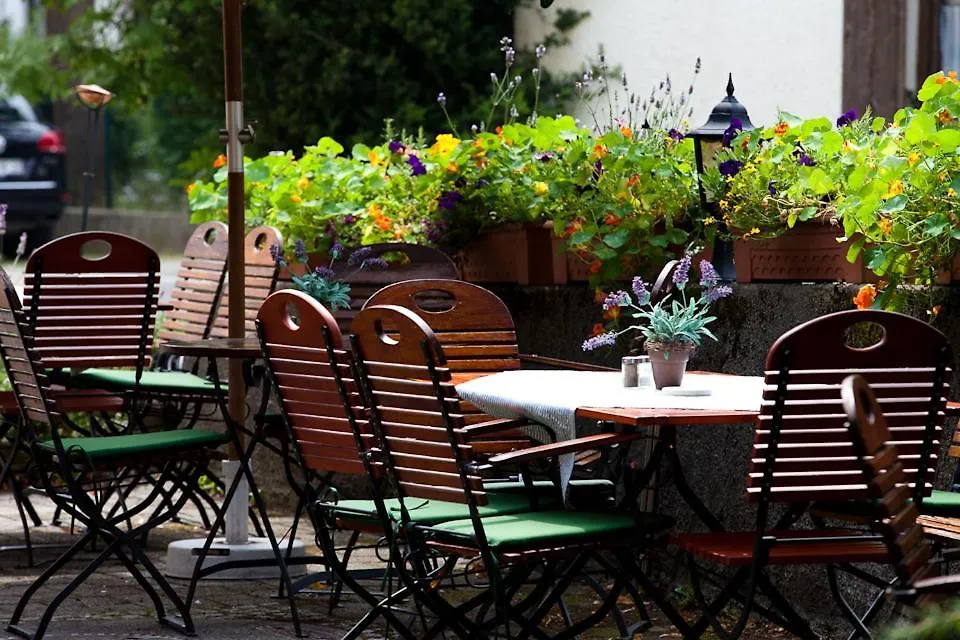 Gasthof - Hotel Zur Post Pocking  Guest house Pocking (Starnberg)